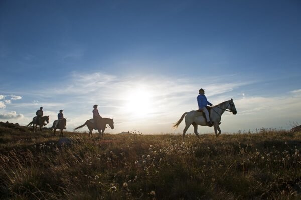 Paseos a caballo en Valencia