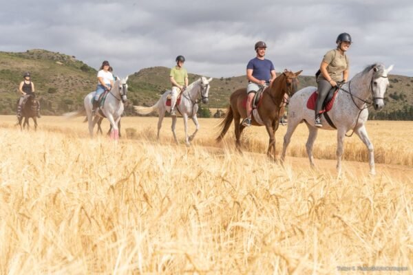 Paseos a caballo en Valencia