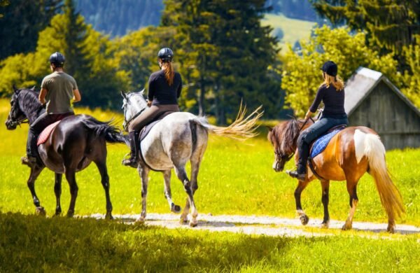 Paseos a caballo en Valencia