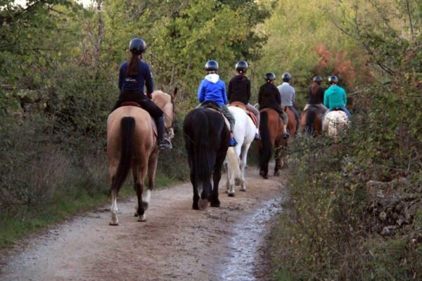 Paseos a caballo en Valencia