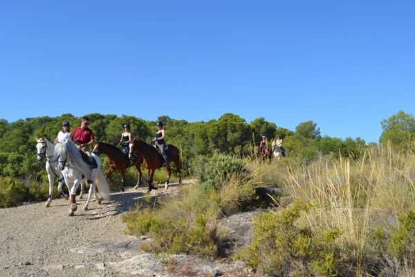 Paseos a caballo en Valencia