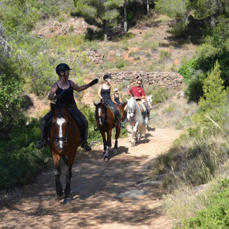 rutas a caballo en la Calderona