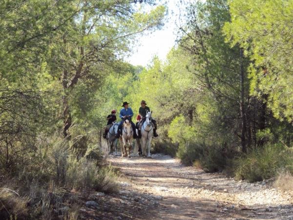 rutas a caballo en la Calderona