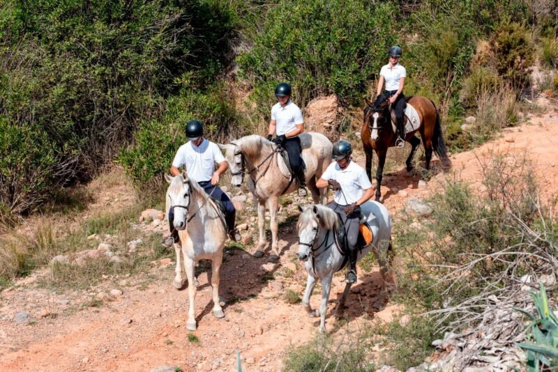 rutas a caballo en la Calderona