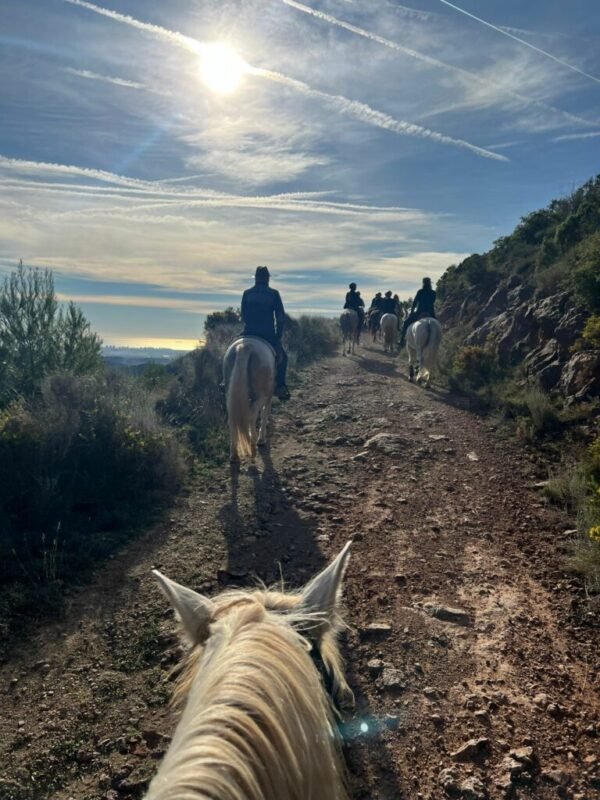 rutas a caballo en la Calderona